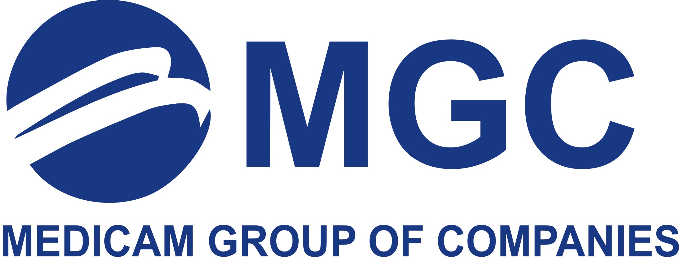 EIDS Consultants Logo